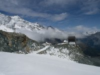 CH, Wallis, Saas Fee, Felskinn 2, Saxifraga-Willem van Kruijsbergen